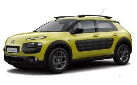 C4 CACTUS