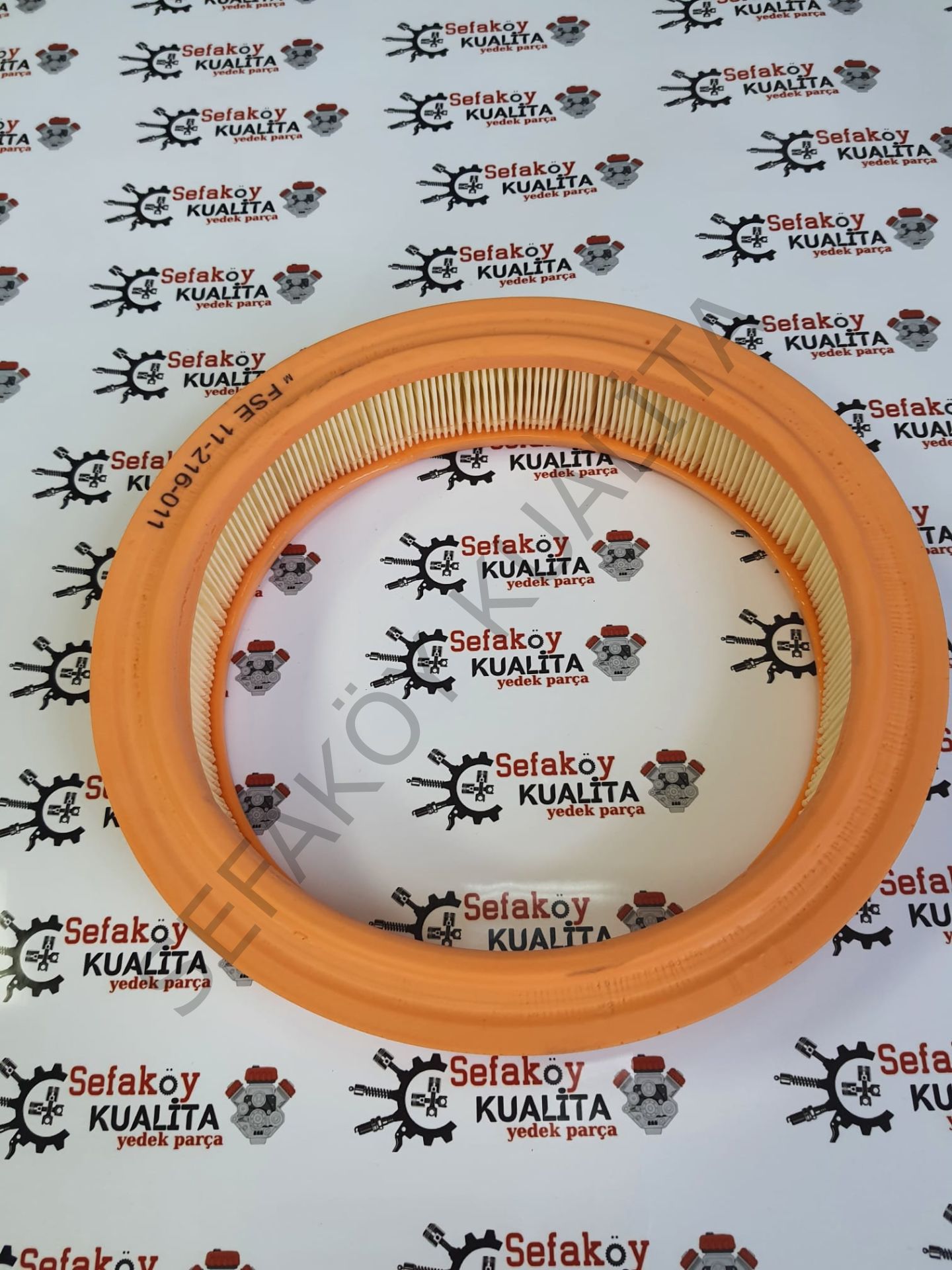 TAUNUS-P100 HAVA FİLİTRE