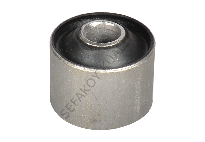 TAUNUS SALINCAK BURCU ARKA ŞİŞMAN